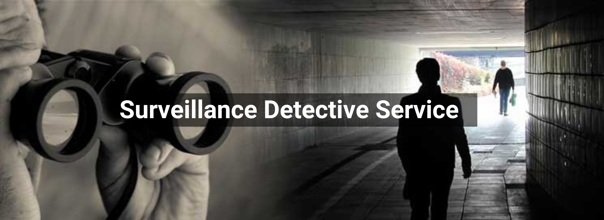Surveillance detective services in Pune